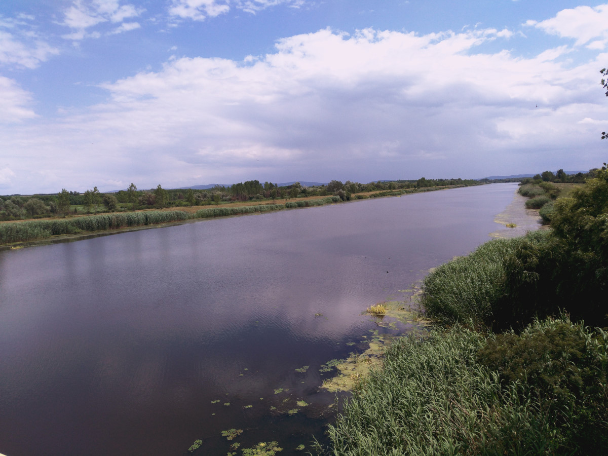 Canal DTD_003