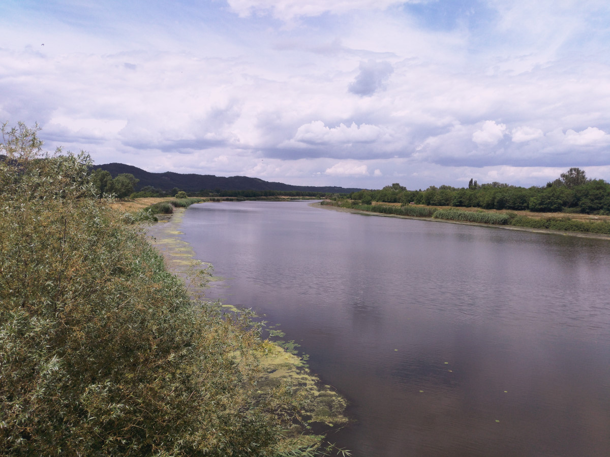 Canal DTD_004