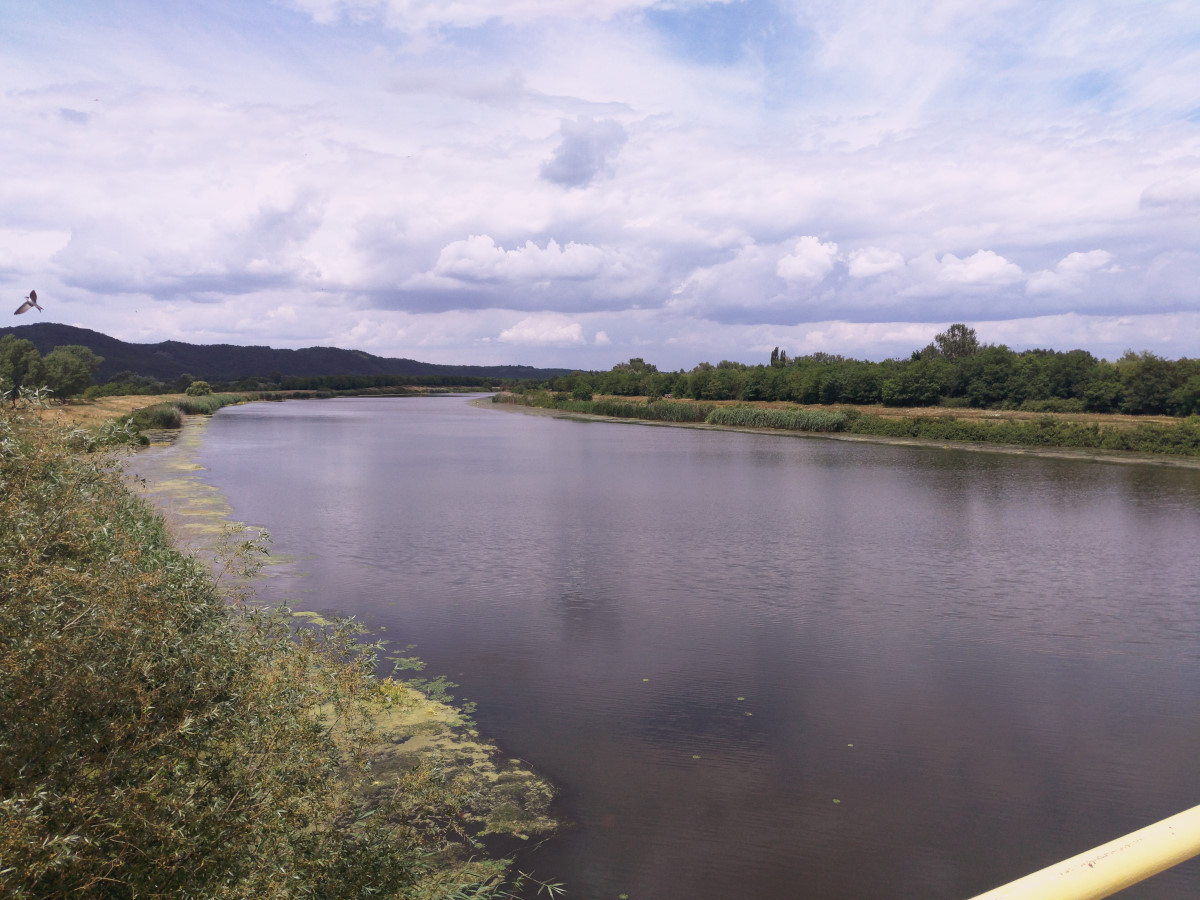 Canal DTD_005