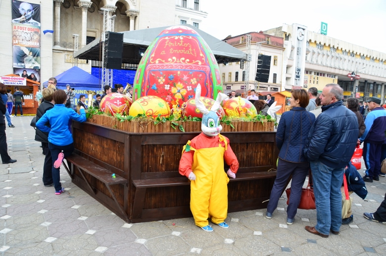DSC_6927 (781x517)