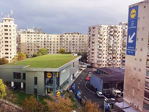 lidl-acoperis-verde