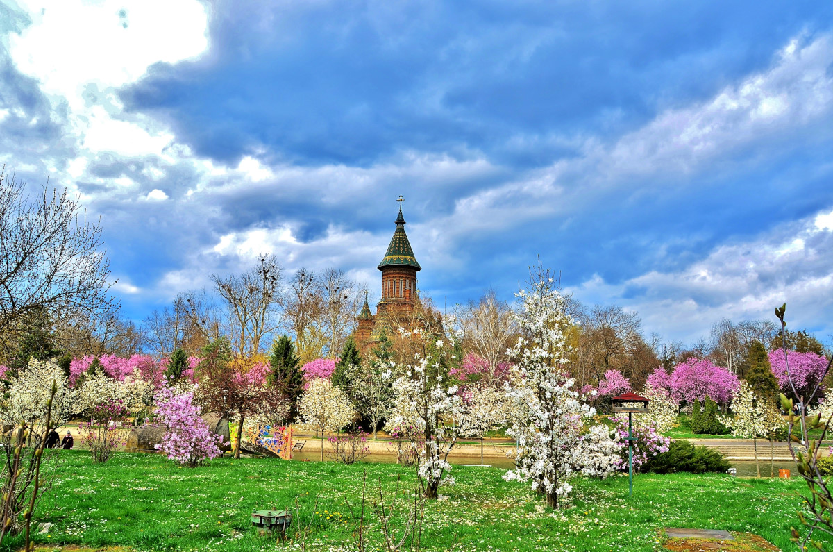 Primavara Bega_50
