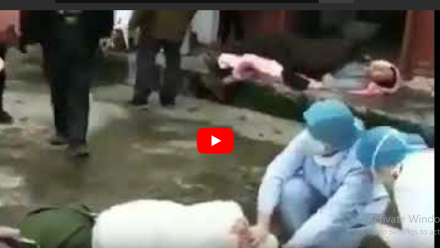 Wugan Video