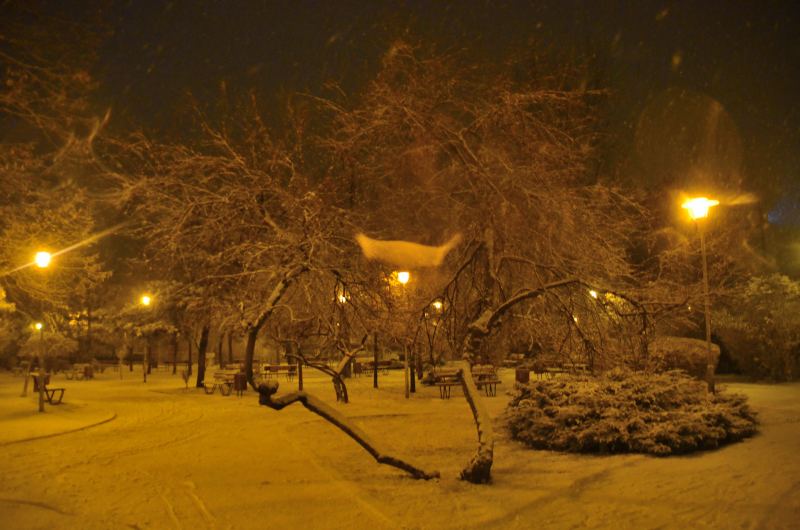 zapada-timisoara-mic_01