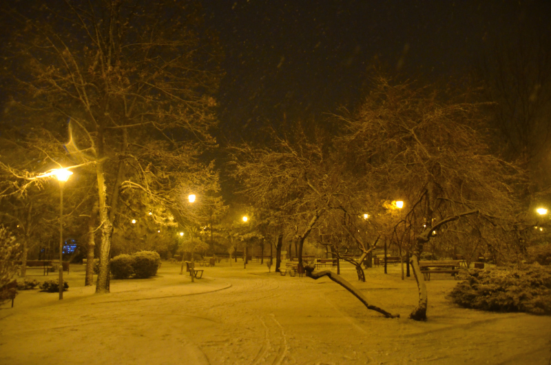 zapada-timisoara-mic_02