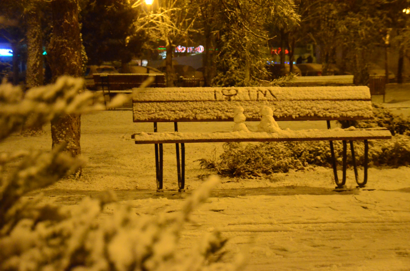 zapada-timisoara-mic_08