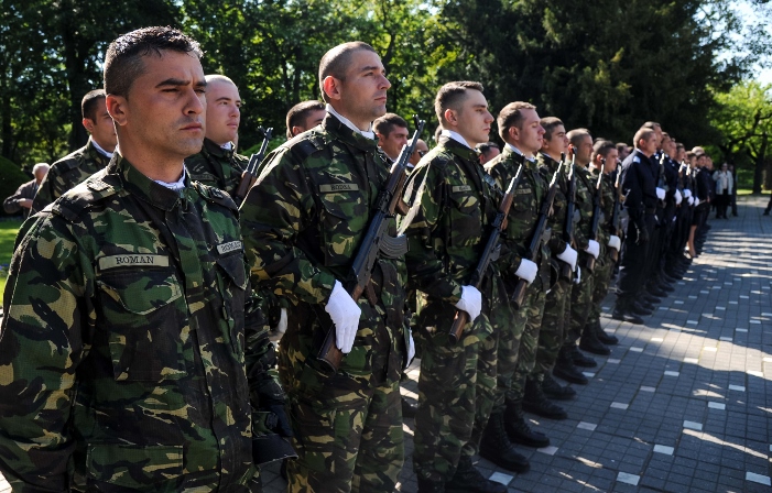 Ziua Europei 009 (701x448)