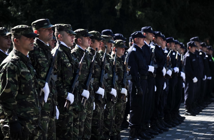 Ziua Europei 039 (701x461)